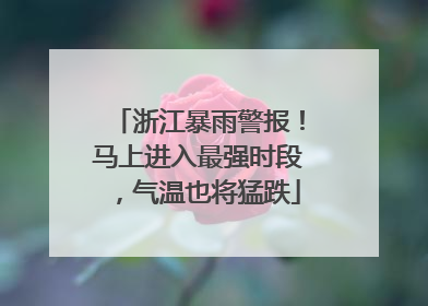 浙江暴雨警报！马上进入最强时段，气温也将猛跌