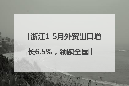 浙江1-5月外贸出口增长6.5%，领跑全国