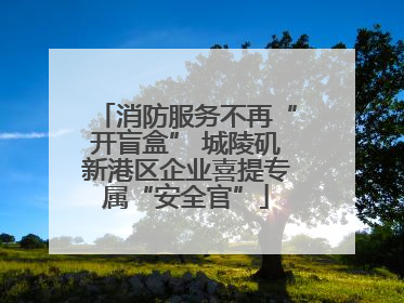 消防服务不再“开盲盒” 城陵矶新港区企业喜提专属“安全官”