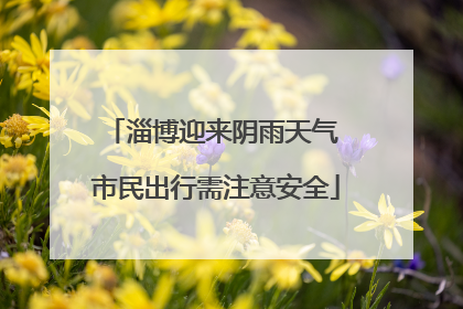 淄博迎来阴雨天气 市民出行需注意安全