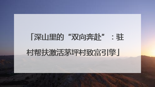 深山里的“双向奔赴”：驻村帮扶激活茅坪村致富引擎