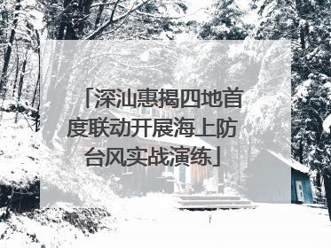深汕惠揭四地首度联动开展海上防台风实战演练