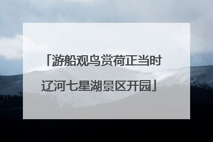 游船观鸟赏荷正当时 辽河七星湖景区开园