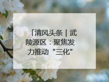 清风头条｜武陵源区：聚焦发力推动“三化”建设年行动