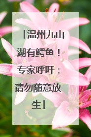 温州九山湖有鳄鱼！专家呼吁：请勿随意放生