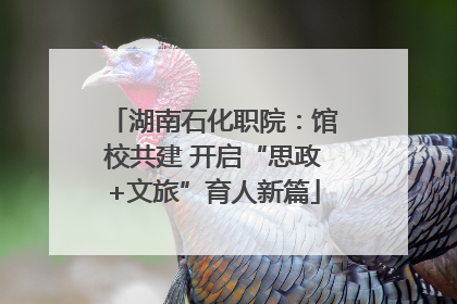 湖南石化职院：馆校共建 开启“思政+文旅”育人新篇
