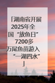 湖南省开展2025年全国“放鱼日” 7200多万尾鱼苗游入“一湖四水”