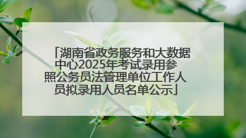 湖南省政务服务和大数据中心2025年考试录用参照公务员法管理单位工作人员拟录用人员名单公示