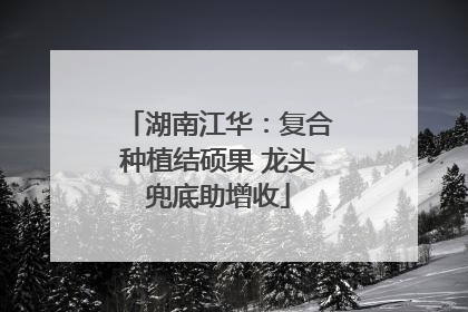 湖南江华：复合种植结硕果 龙头兜底助增收