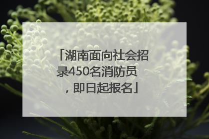 湖南面向社会招录450名消防员，即日起报名