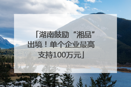 湖南鼓励“湘品”出境！单个企业最高支持100万元