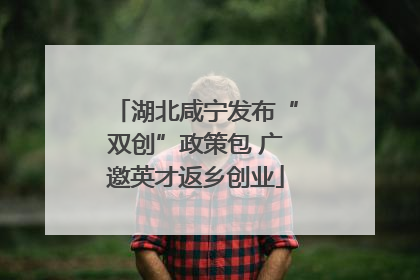 湖北咸宁发布“双创”政策包 广邀英才返乡创业