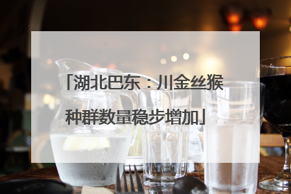 湖北巴东：川金丝猴种群数量稳步增加
