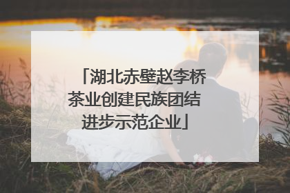 湖北赤壁赵李桥茶业创建民族团结进步示范企业