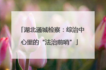 湖北通城检察：综治中心里的“法治前哨”