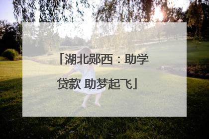湖北郧西：助学贷款 助梦起飞