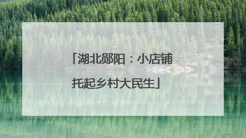 湖北郧阳：小店铺托起乡村大民生