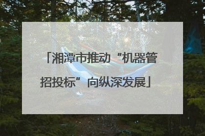 湘潭市推动“机器管招投标”向纵深发展