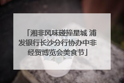 湘非风味碰撞星城 浦发银行长沙分行协办中非经贸博览会美食节