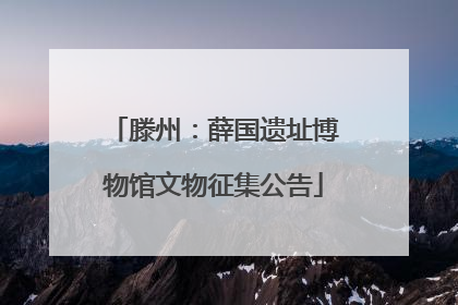 滕州：薛国遗址博物馆文物征集公告