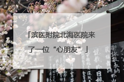 滨医附院北海医院来了一位“心朋友”