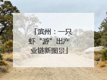 滨州：一只虾“游”出产业链新图景
