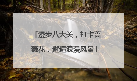 漫步八大关，打卡蔷薇花，邂逅浪漫风景