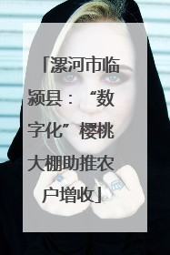 漯河市临颍县：“数字化”樱桃大棚助推农户增收