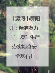 漯河市舞阳县：精准发力“三夏”生产 夯实粮食安全基石
