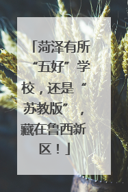 菏泽有所“五好”学校，还是“苏教版”，藏在鲁西新区！