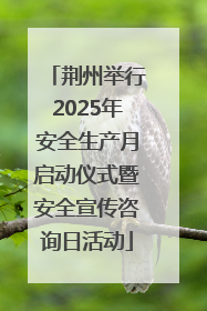 荆州举行2025年安全生产月启动仪式暨安全宣传咨询日活动