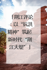 荆江评论：以“抗洪精神”筑起新时代“荆江大堤”