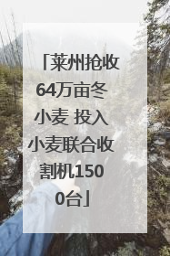 莱州抢收64万亩冬小麦 投入小麦联合收割机1500台