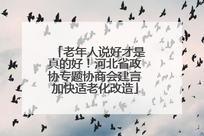 老年人说好才是真的好！河北省政协专题协商会建言加快适老化改造