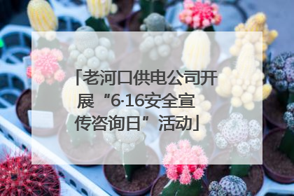 老河口供电公司开展“6·16安全宣传咨询日”活动