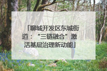 聊城开发区东城街道：“三链融合”激活基层治理新动能