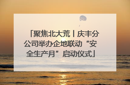 聚焦北大荒丨庆丰分公司举办企地联动“安全生产月”启动仪式