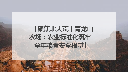 聚焦北大荒｜青龙山农场：农业标准化筑牢全年粮食安全根基