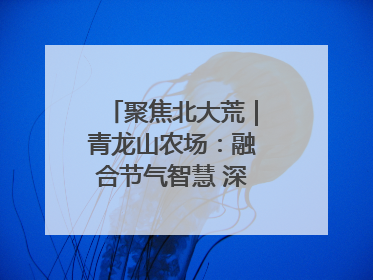 聚焦北大荒｜青龙山农场：融合节气智慧 深耕安全沃土