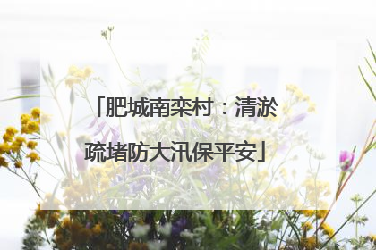 肥城南栾村：清淤疏堵防大汛保平安