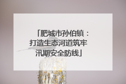 肥城市孙伯镇：打造生态河道筑牢汛期安全防线
