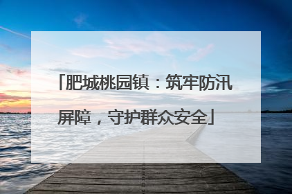 肥城桃园镇：筑牢防汛屏障，守护群众安全