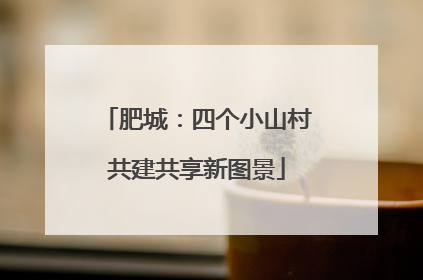 肥城：四个小山村共建共享新图景