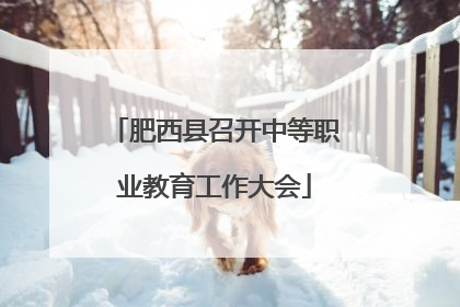 肥西县召开中等职业教育工作大会