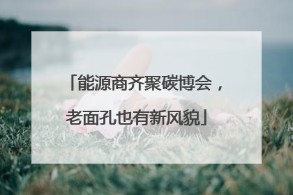 能源商齐聚碳博会，老面孔也有新风貌