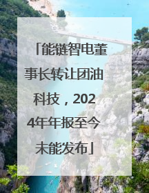 能链智电董事长转让团油科技，2024年年报至今未能发布