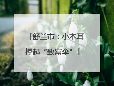 舒兰市：小木耳撑起“致富伞”