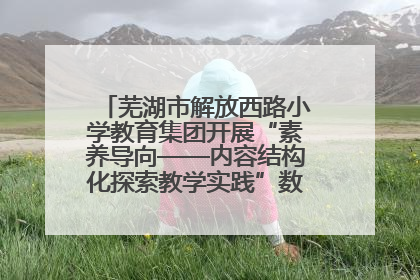 芜湖市解放西路小学教育集团开展“素养导向——内容结构化探索教学实践”数学专题研讨活动