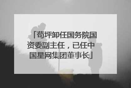 苟坪卸任国务院国资委副主任，已任中国星网集团董事长