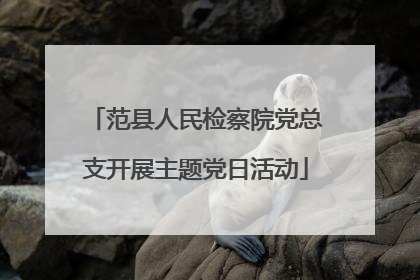 范县人民检察院党总支开展主题党日活动